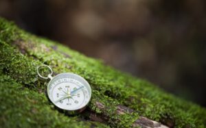 4_Blog-Beitrag_Lebenskonzept_Bild